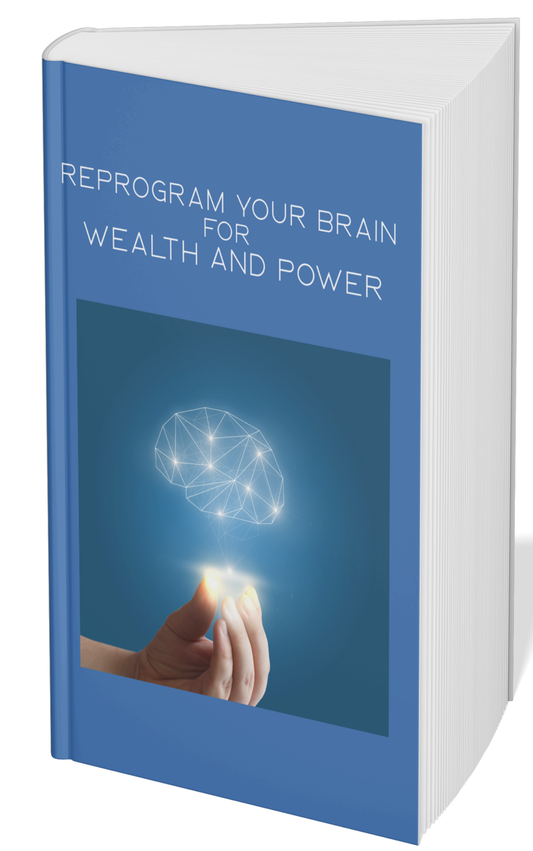 REPROGRAM YOUR BRAIN FOR WEALTH AND POWER